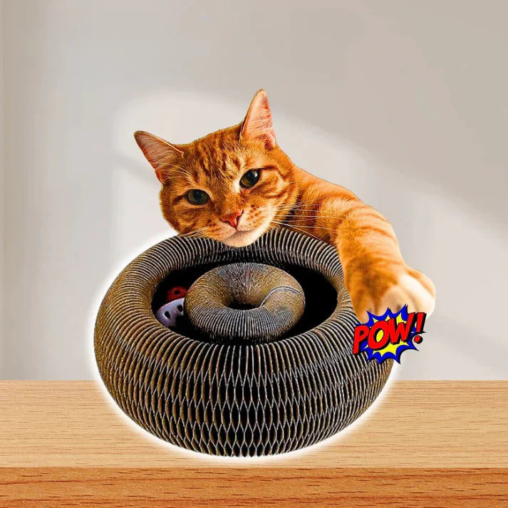 MiaoFun™ – Gioco interattivo per gatti