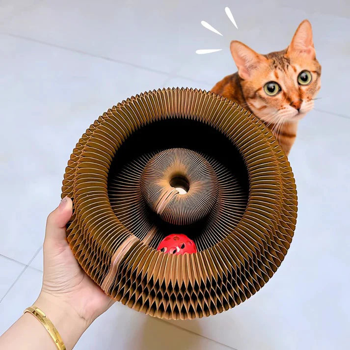 MiaoFun™ – Gioco interattivo per gatti