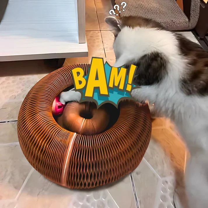 MiaoFun™ – Gioco interattivo per gatti