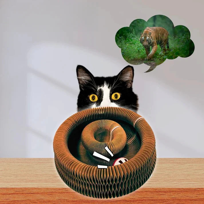 MiaoFun™ – Gioco interattivo per gatti